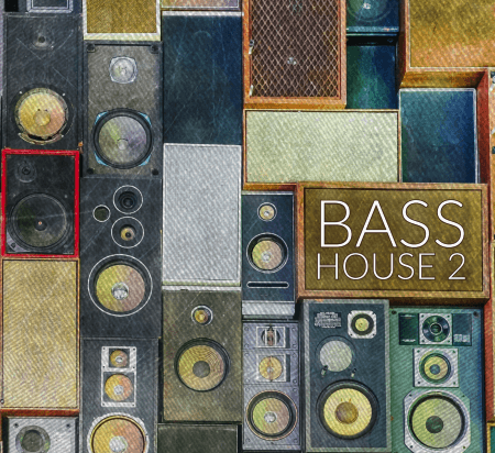 Audentity Records Bass House Vol.2 WAV Synth Presets